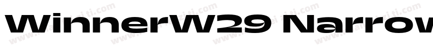 WinnerW29 NarrowBold Regular字体转换